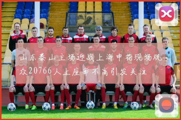 山东泰山主场迎战上海申花现场观众20766人上座率不高引发关注