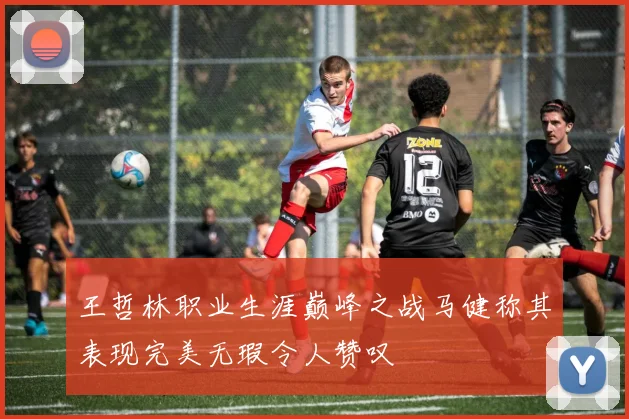 王哲林职业生涯巅峰之战马健称其表现完美无瑕令人赞叹